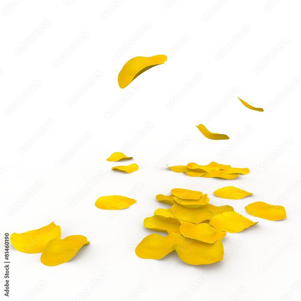 Yellow rose petals fall to the floor Yellow rose petals fall to the floor