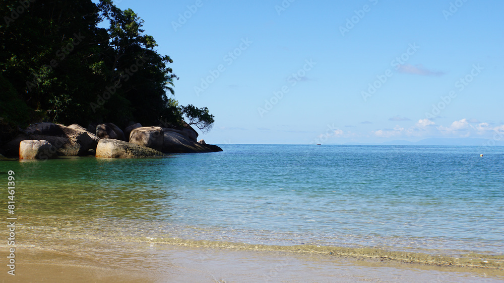 Obraz premium wild seychelles