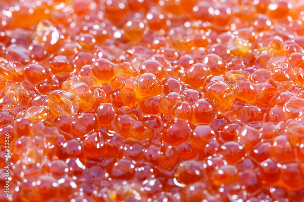 background red caviar background red caviar