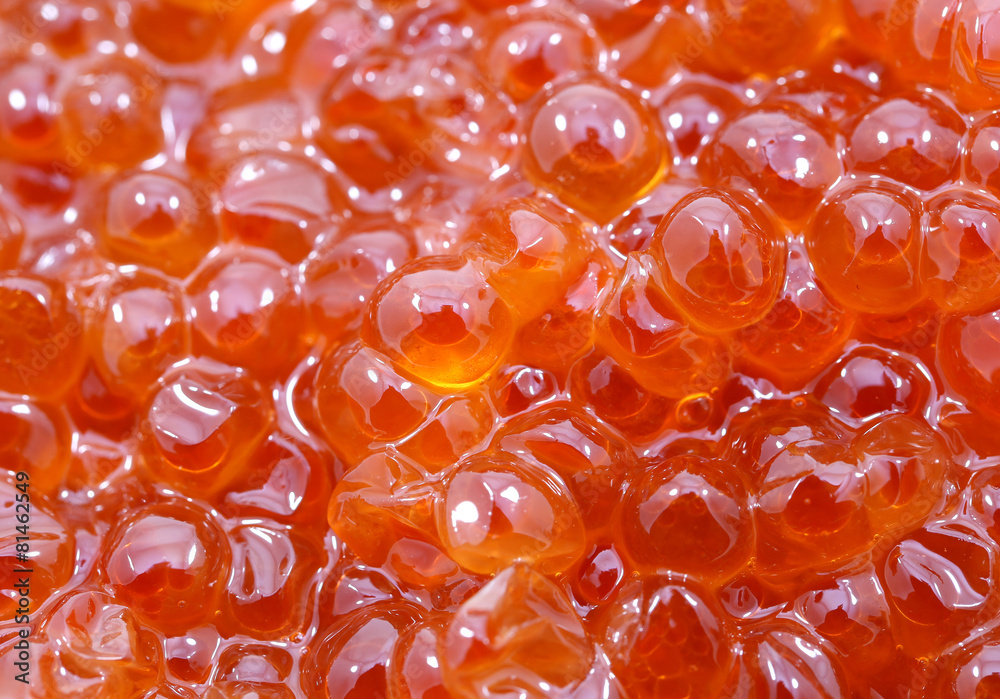 background red caviar background red caviar