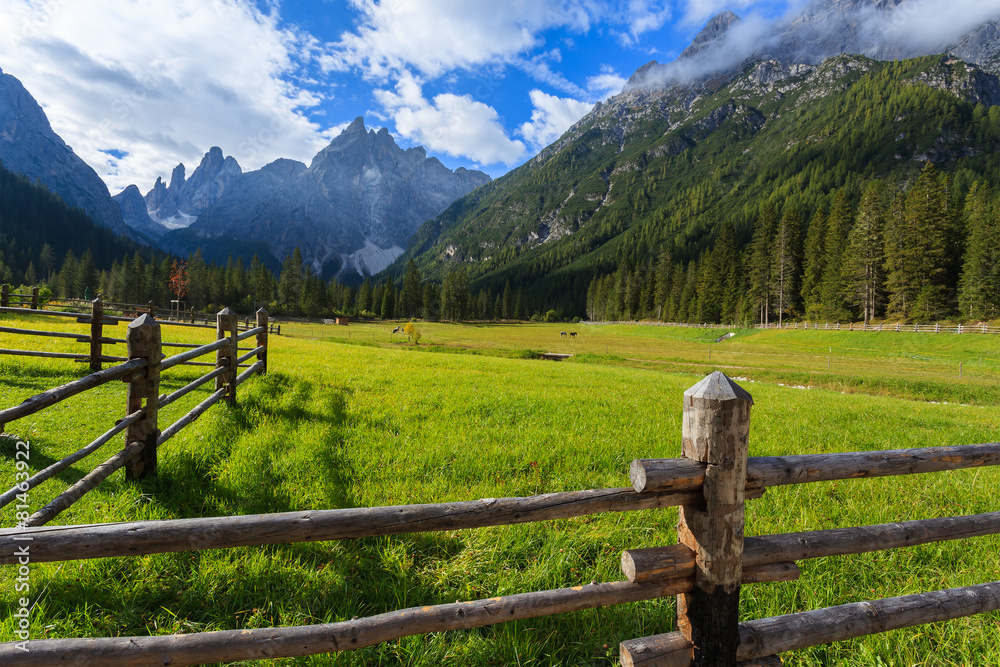 Fence on green pasture in Dolomites Mountains in summer, Italy