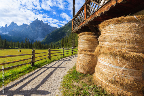 Stable in green alpine valley in Dolomites Mountains, Italy photo