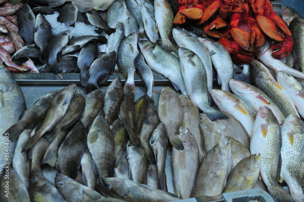 Fototapeta premium Fish on the counter at Turkish Bazaar in Old city of Acre