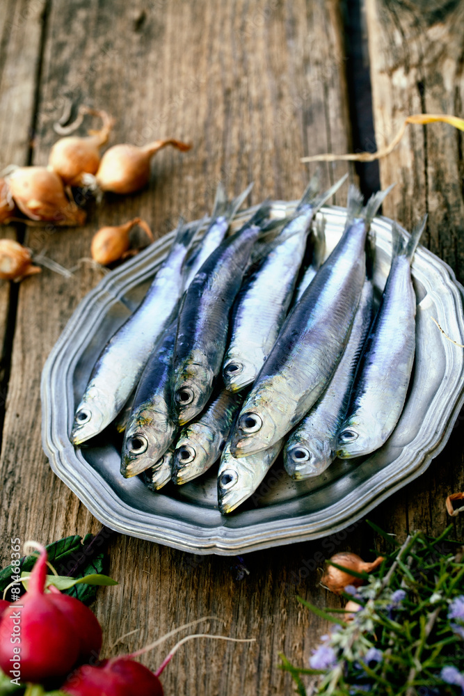 Fresh sardines Fresh sardines