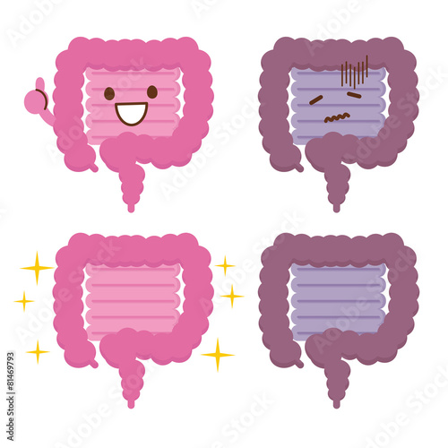 腸　イラスト