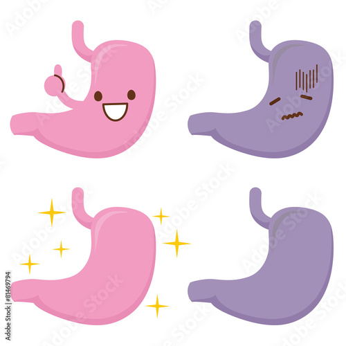 胃　イラスト