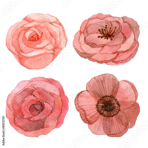 Set of flowers watercolor drawing