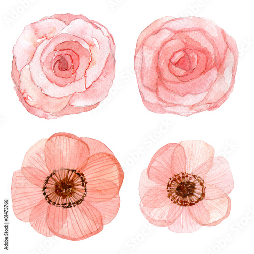 Set of flowers watercolor drawing