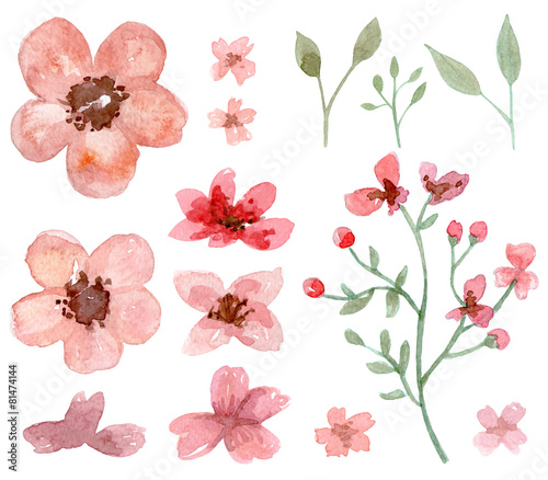 Set of flowers and leaves