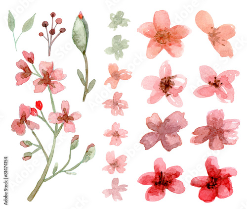 Set of flowers and leaves