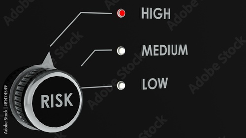 Risk Management or Optimization