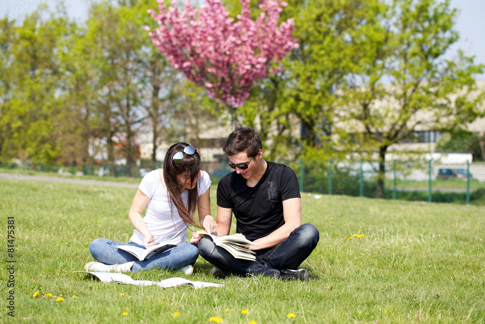 students studying outdoors students studying outdoors