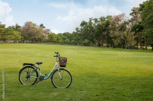 Bicycle in The park