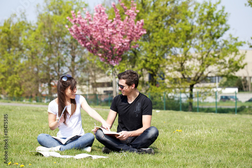 students studying outdoors