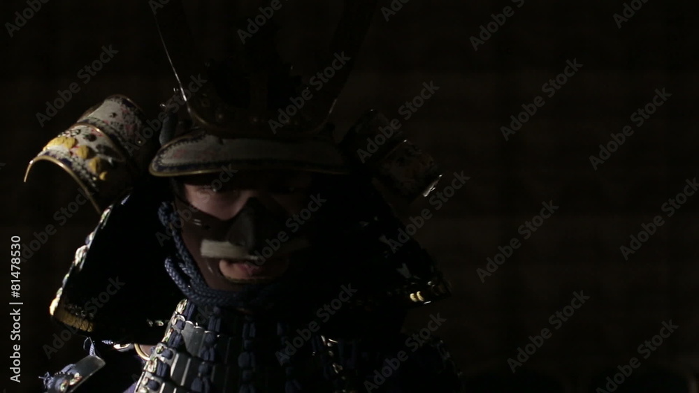 the approximation of the samurai out of the darkness the approximation of the samurai out of the darkness