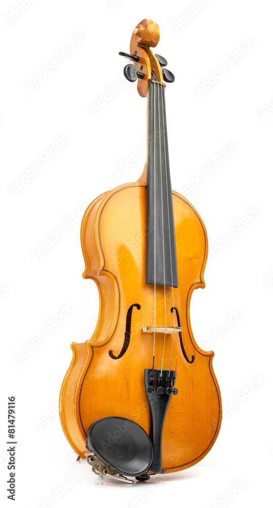 Fototapeta premium violin on white background