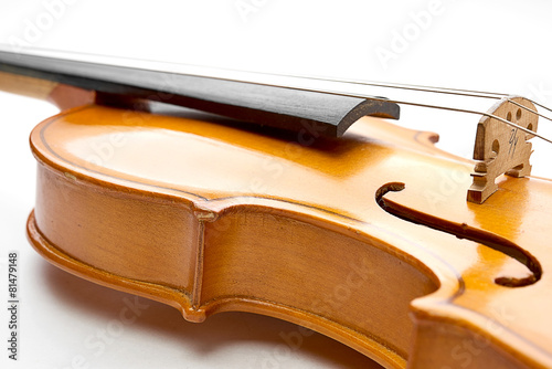 violin on white background