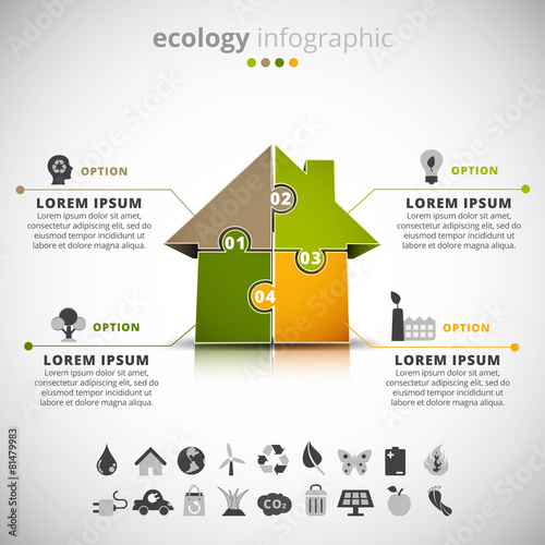 Ecology Infographic