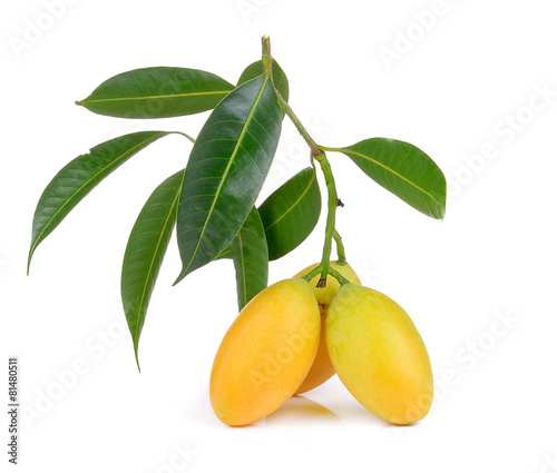sweet marian plum thai fruit isolated on white backgroun