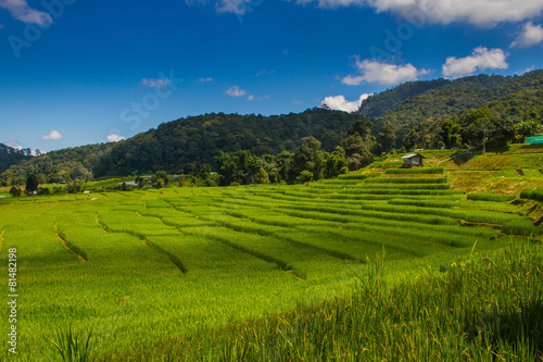 mae klang luang