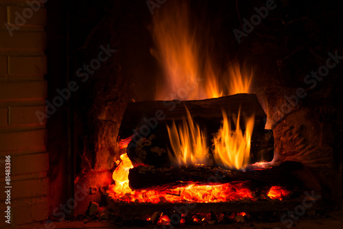 Burning fireplace with fresh firewood