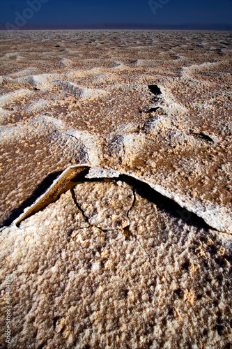 chott el jerid,tunisia photo