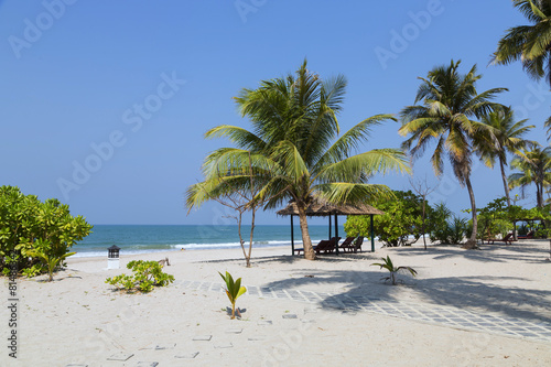 Fototapeta Naklejka Na Ścianę i Meble -  Ngwe Saung Beach - sunny blue palm beach
