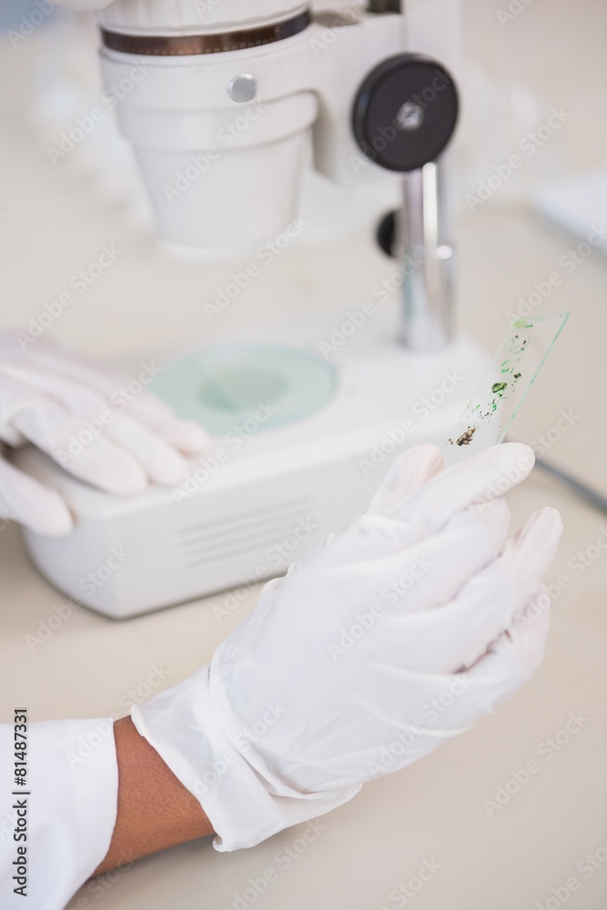 Scientist holding sample