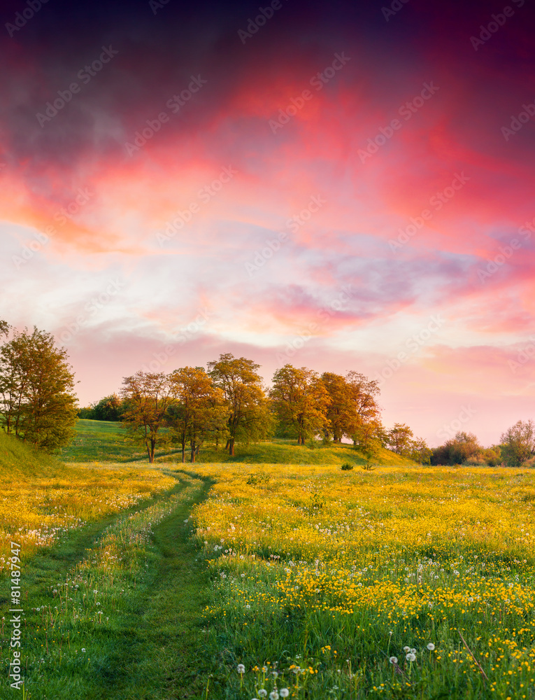 Obraz premium Colorful summer sunrise in the countryside with road