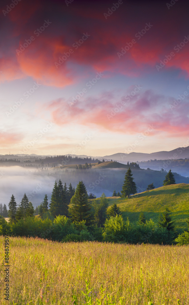 Colorful summer sunrise in the foggy mountains.