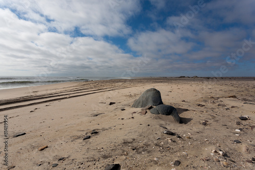 Skeleton coast panorama photo