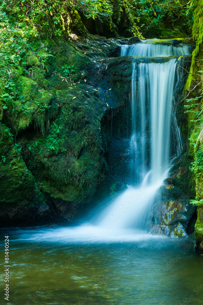 Geroldsauer Wasserfall, Geroldsau