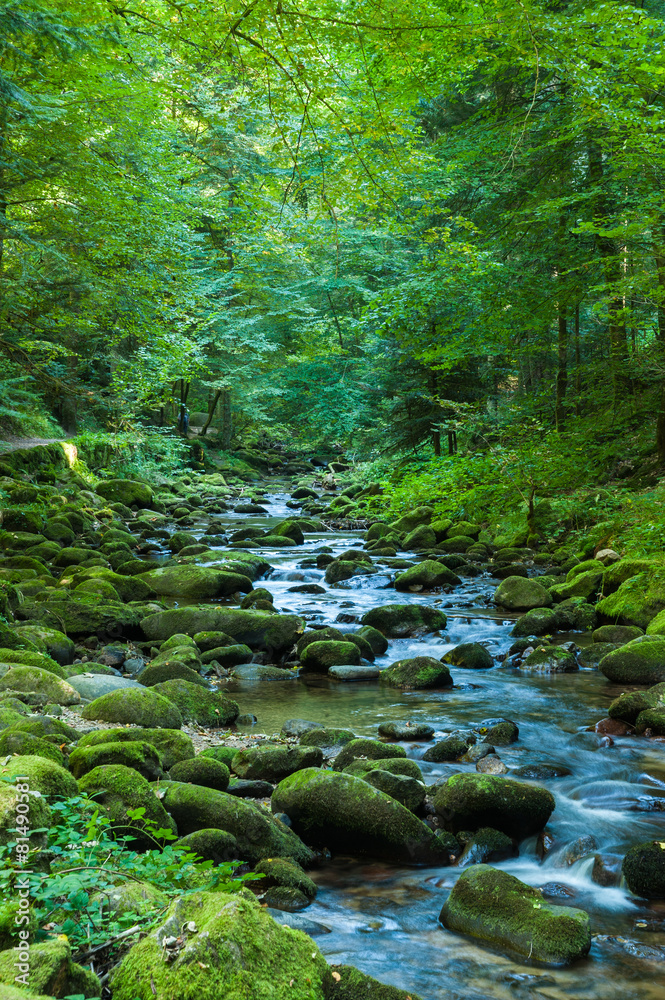 Obraz premium Grobbach, Geroldsau