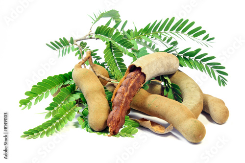 Fresh Tamarind on Pod, Fruit and Food ingredient.