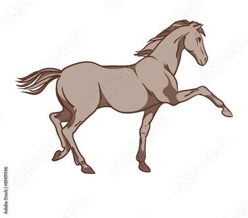 Horse vector. Hand drawn illustration © J_ka