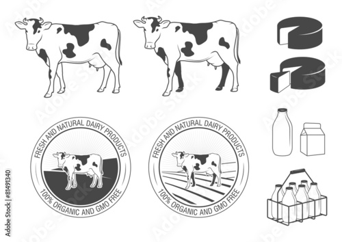 Dairy products set