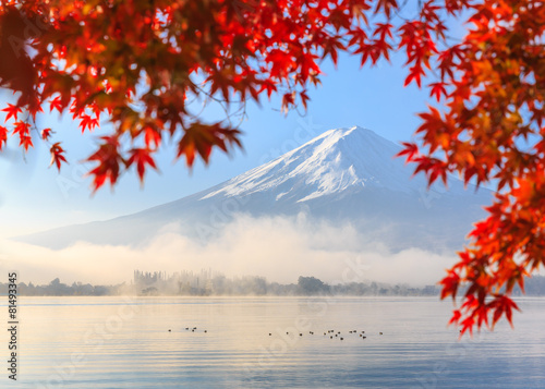 Autumn Season and Mountain Fuji