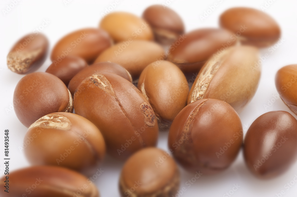 seeds of argan on white,a close up on white background seeds of argan on white,a close up on white background