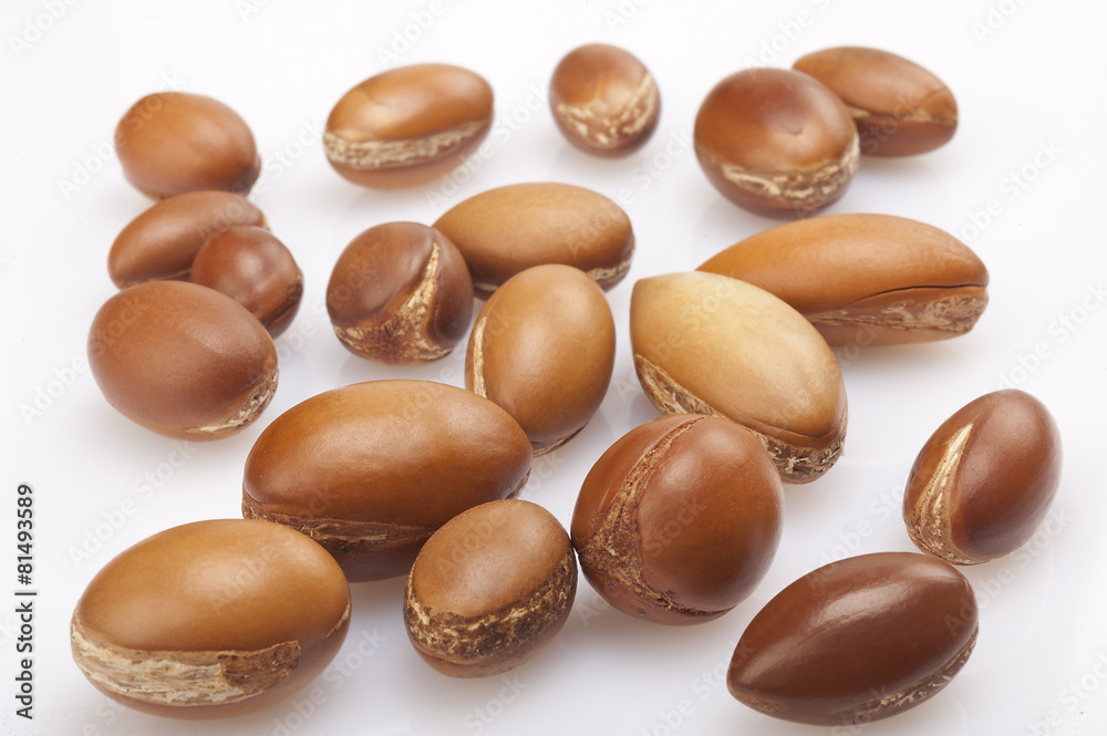 seeds of argan on white,a close up on white background seeds of argan on white,a close up on white background