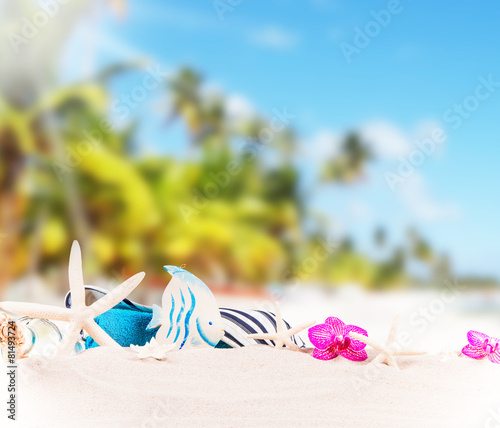 Shell, sea star, summer accessories, Summer concept © verca