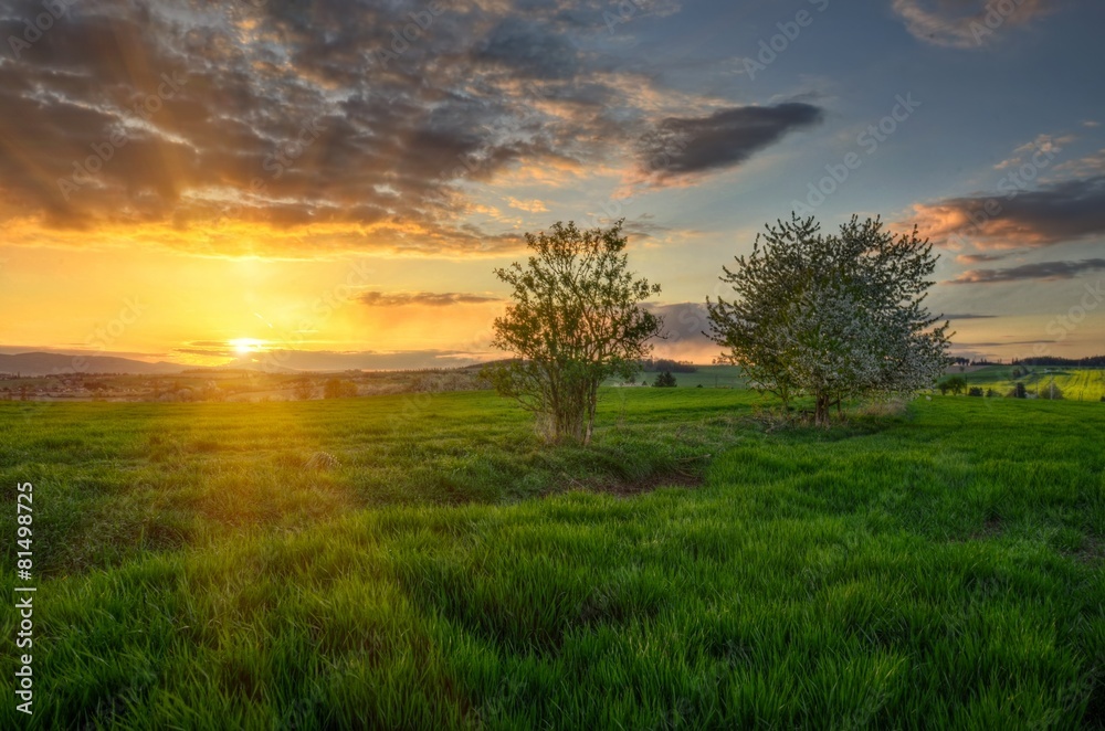 Fototapeta premium falling asleep landscape