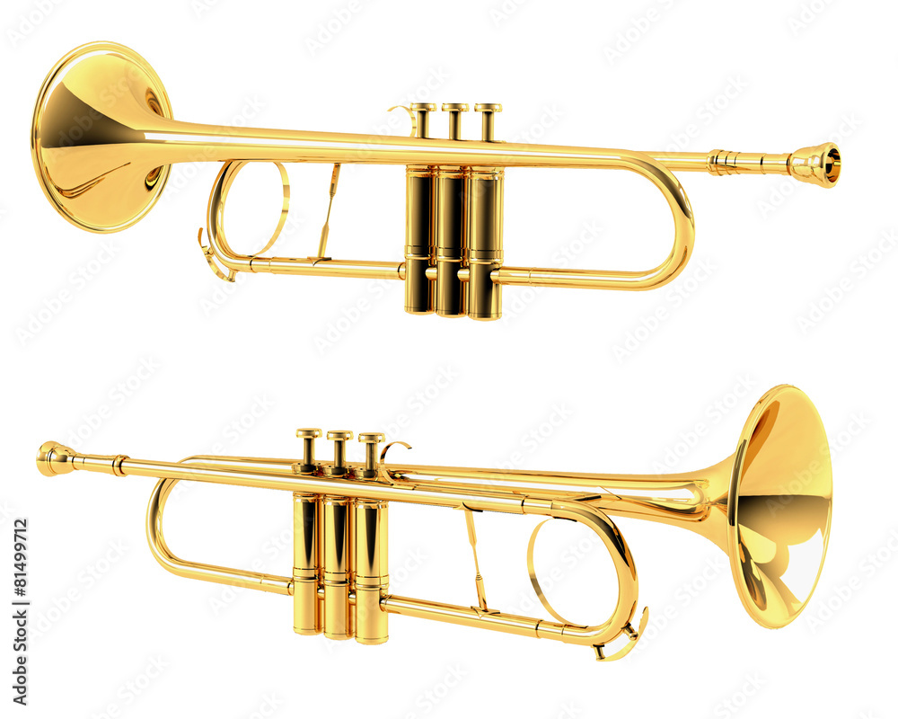 Obraz premium Golden trumpet isolated. Multiple angles of view