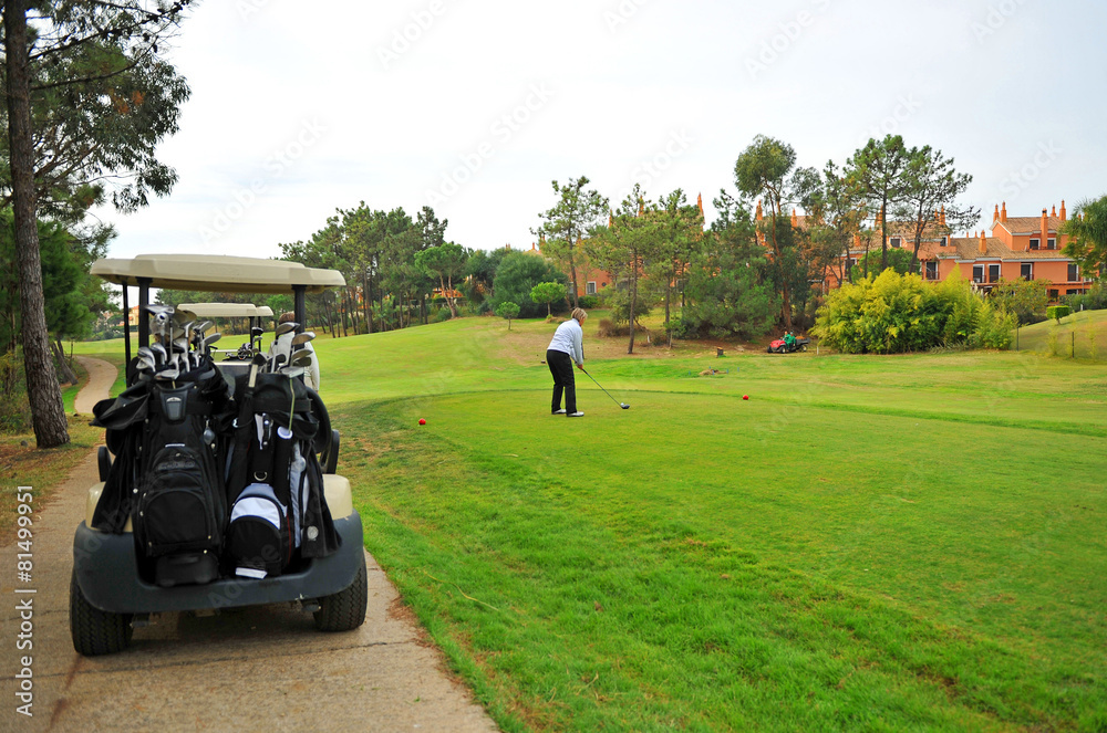 Jugador solitario en el campo de golf Jugador solitario en el campo de golf