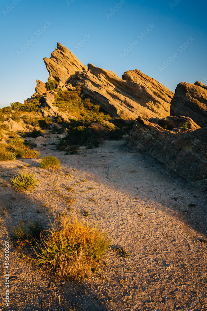 Fototapeta premium Plants and rocks at Vasquez Rocks County Park, in Agua Dulce, Ca