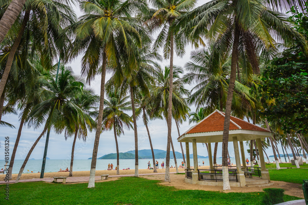 guest houses among palm trees, Vietnam