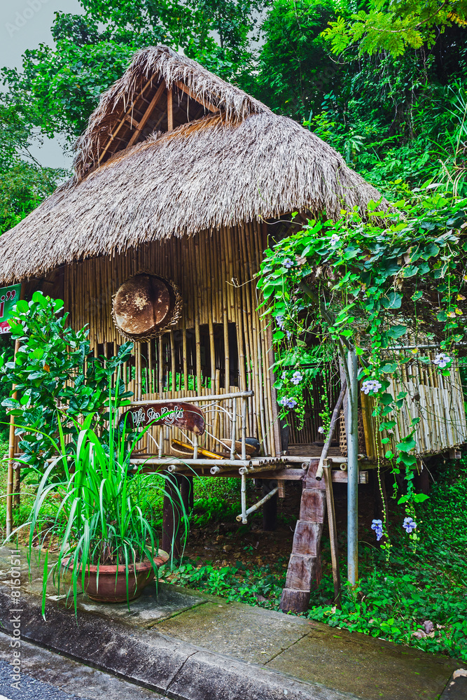 Obraz premium hut on the road in the jungle on the Phuket in Thailand