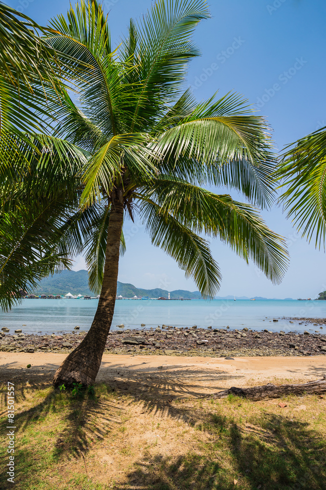 Fototapeta premium Beautiful tropical beach at island Koh Chang