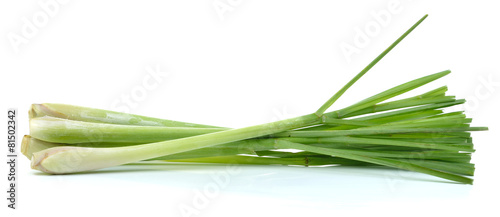 Canvas Print Lemon grass on   white background