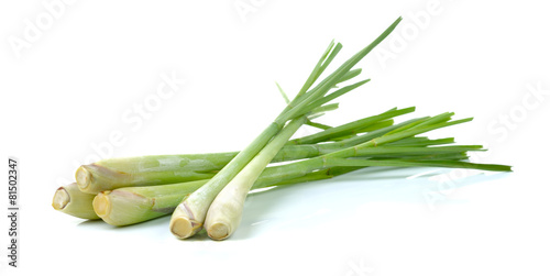 Lemon grass on white background