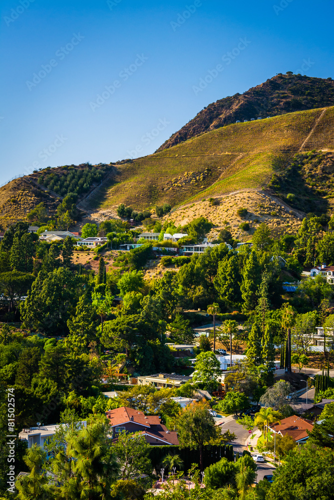 View of houses and hills in Hollywood from Canyon Lake Drive in